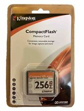 Kingston compact flash usato  Premilcuore