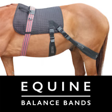 Equine band core for sale  Shipping to Ireland