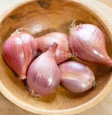 150x onion shallot for sale  DEWSBURY