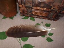 eagle feather for sale  Shipping to Ireland