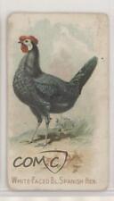 1907 Philadelphia Caramel Zoo Chickens E31 White-Faced Black Spanish Hen z6d for sale  Shipping to South Africa