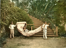 Madeira. hammock. photochrome d'occasion  Pagny-sur-Moselle