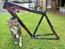 Hard tail mtb for sale  ONGAR