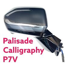 2021-2023 Hyundai Palisade Calligraphy P7V Camera Puddle Side Mirror Right side for sale  Shipping to South Africa