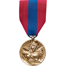 Medaille defense nationale d'occasion  Thiers