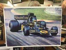 Ronnie peterson john for sale  DROITWICH