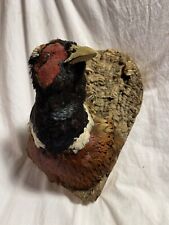 Antique pheasant taxidermy for sale  Dover