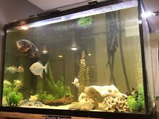 Fish tanks sale for sale  Whitestone