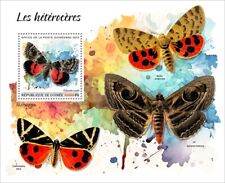 2024 guinea moths d'occasion  Brunoy