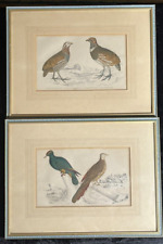 Antique hand coloured for sale  STAMFORD