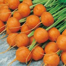 Carrot paris market for sale  UK