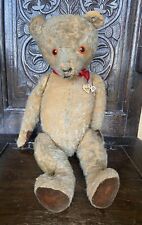 Charming old teddy for sale  BLANDFORD FORUM