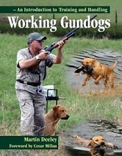 Working gundogs introduction for sale  UK