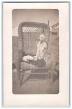 Usado, Cartão postal de cachorro foto RPPC truque de pé cadeira de vime c1910's antiga não publicada comprar usado  Enviando para Brazil
