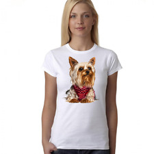 Yorkshire terrier dog for sale  NEWARK