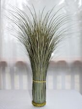 Basil whip grass for sale  Phillips