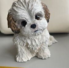 shih tzu puppy for sale  Denver