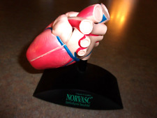 Exhibición de modelo anatómico corazón NORVASC besilato de amlodipino *RARO* segunda mano  Embacar hacia Argentina
