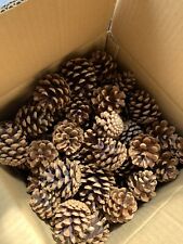 Pcs natural fir for sale  WESTCLIFF-ON-SEA