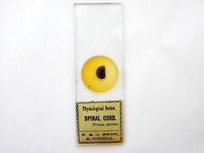 Antique microscope slide. for sale  LEDBURY