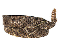 Real rattlesnake hat for sale  Antwerp