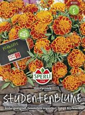 Tagetes studentenblume honeyco gebraucht kaufen  Aurich