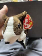Beanie baby bruno for sale  Newman