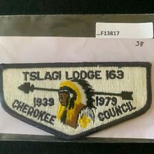 Used,   TSLAGI LODGE 163 S-8 F13817 for sale  Shipping to South Africa