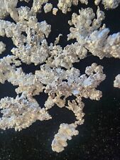 Silver crystals pure for sale  Myrtle Beach