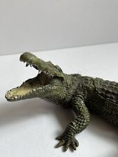 Bergman alligator crocodile for sale  WADEBRIDGE