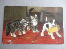 Cat postcard kittens for sale  NORWICH