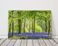 Bluebell wood canvas for sale  CREWE