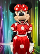 Hire minnie mouse for sale  DUDLEY