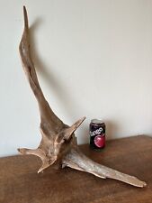 driftwood sculpture for sale  ROCHDALE