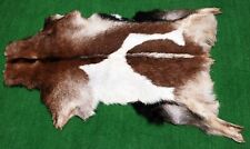 New Goat hide Rug Hair on Area Rug Size 34"x22" Animal Leather Goat Skin U-5771, used for sale  Shipping to South Africa