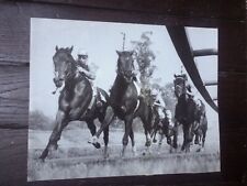 Big photo horse d'occasion  Expédié en Belgium