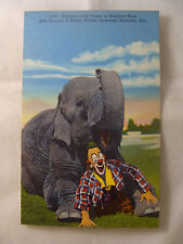 Elephant clown postcard for sale  Spartanburg