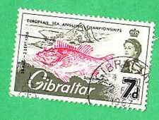 Gibilterra gibraltar pesce usato  Roma