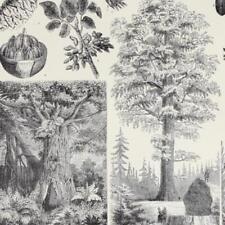 1891 REDWOOD GIANT SEQUOIA TREES BANYAN CYPRESS DATE PALM  VICTORIAN ERA PRINT na sprzedaż  Wysyłka do Poland