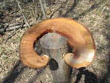 Wild cherry wood for sale  Owosso