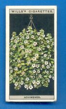 FLOWER CULTURE IN POTS.No.1.ACHIMENES.WILLS CIGARETTE CARD 1925, used for sale  Shipping to South Africa