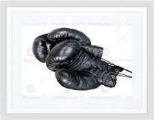 Boxing gloves monochrome for sale  EDINBURGH