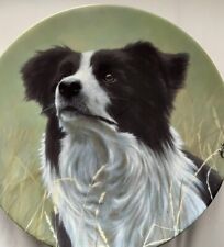 border collie plates for sale  KENDAL