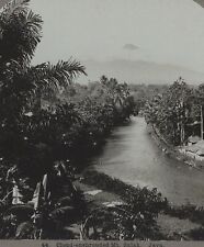 Cloud Enshrouded Mt Salak Java Universal Photo Art Stereoview 1902 for sale  Shipping to South Africa