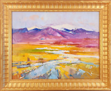 American southwestern landscap for sale  Hollister