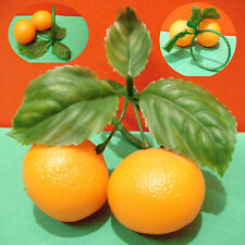 Mandarini mandarinetto isolabe usato  Bologna