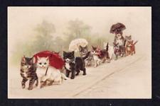 Cats kittens umbrellas for sale  Colora