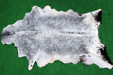 New Goat hide Rug Hair on Area Rug Size 38"x24" Animal Leather Goat Skin U-1538 for sale  Shipping to South Africa