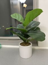 Faux fiddle leaf for sale  New London