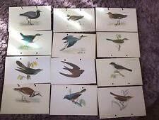 Morris bird print. for sale  EMSWORTH